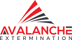 Logo Avalanche extermination